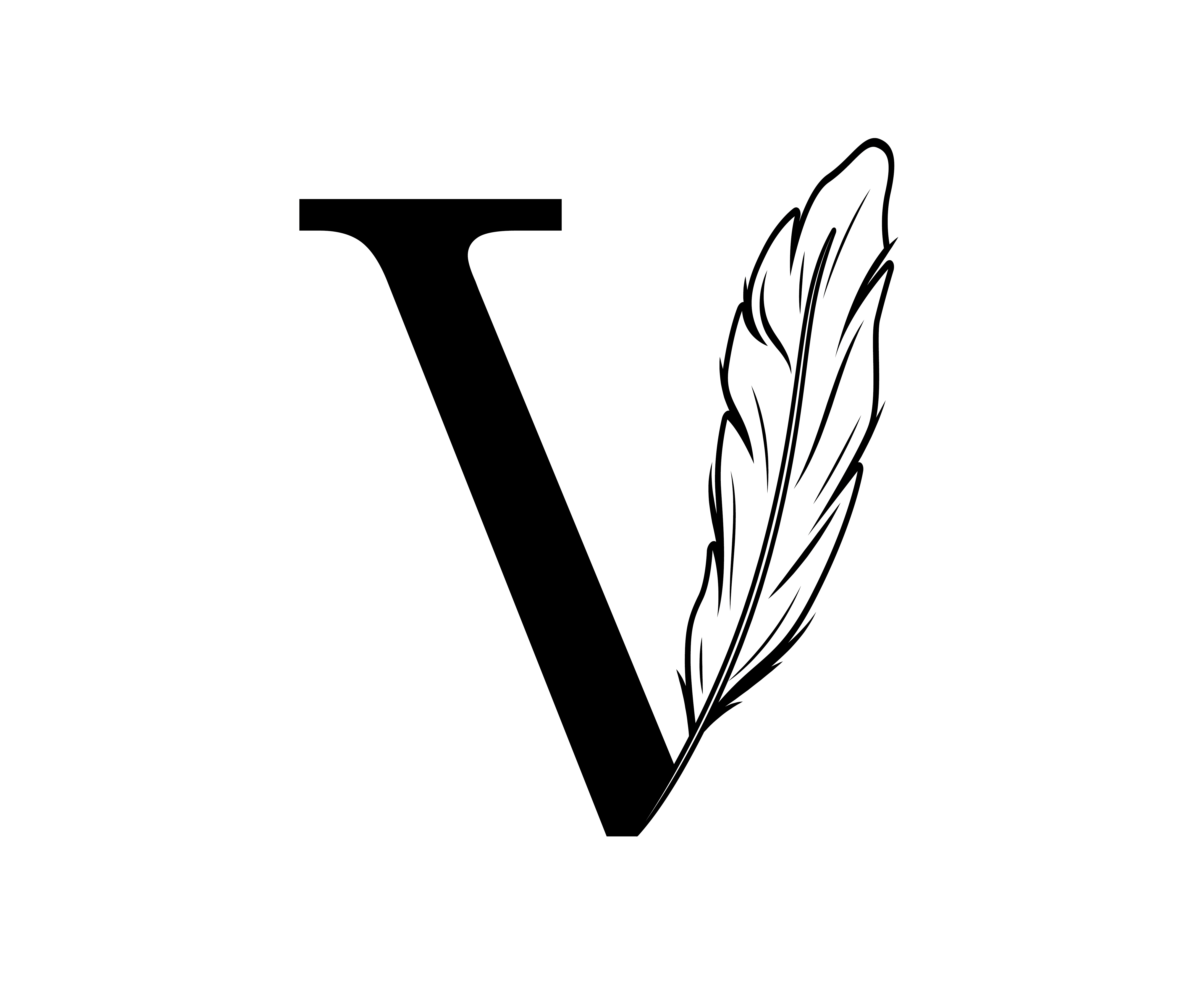 Videmihi Logo
